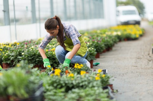 Barbican gardeners creating a neat urban garden