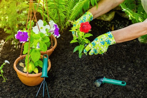 Local lawn maintenance service trimming grass in Barbican