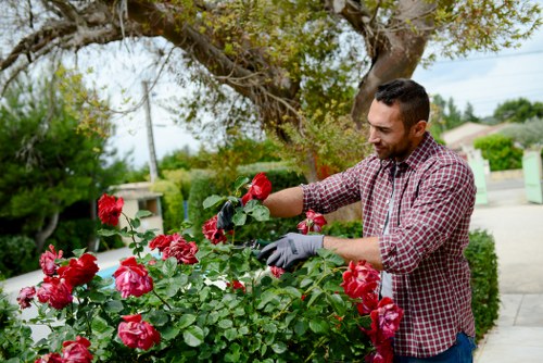 Gardener introducing professional garden care in Barbican