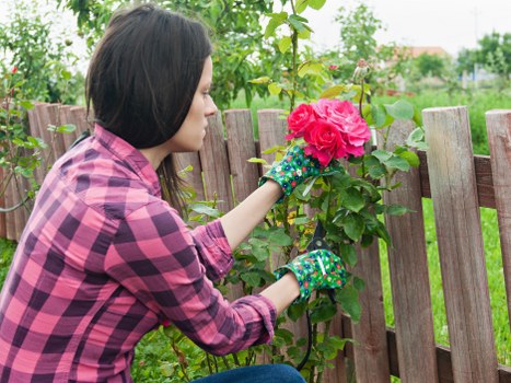 Gardening services in Barbican for a well-maintained urban garden