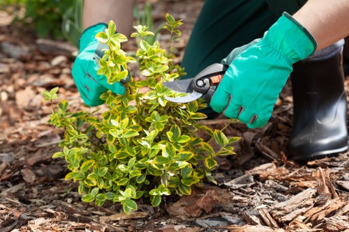 Keyboard navigation support on a Barbican gardening website