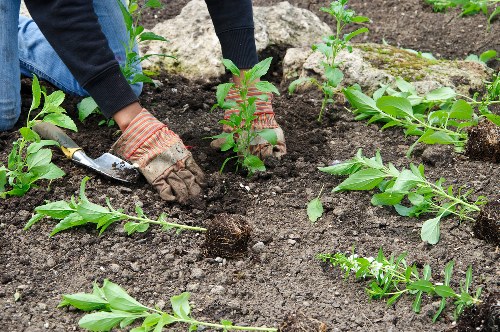 Gardeners Barbican ethical sourcing and worker protection