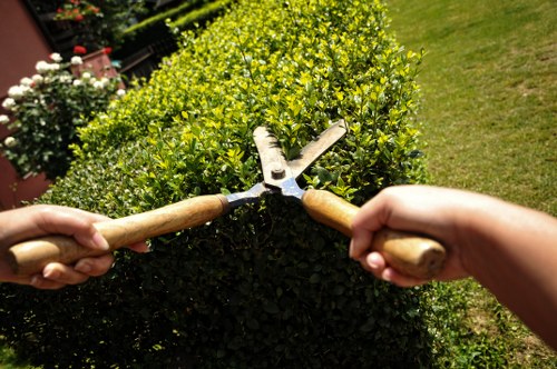 Garden waste removal and cleanup in Barbican