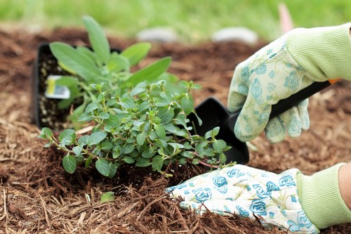 Low-carbon van used for sustainable garden collections