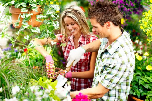 Professional Barbican garden maintenance and plant care