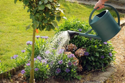 Professional hedge trimming in Barbican for evergreen shrubs