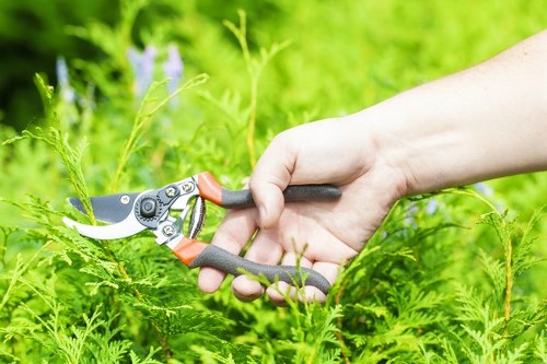 Professional lawn mowing in a shaded Barbican garden