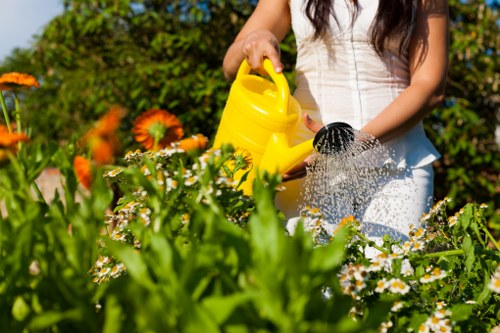 Local transfer station handling green waste and mixed materials